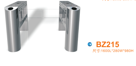 乐山五通桥区摆闸BZ215